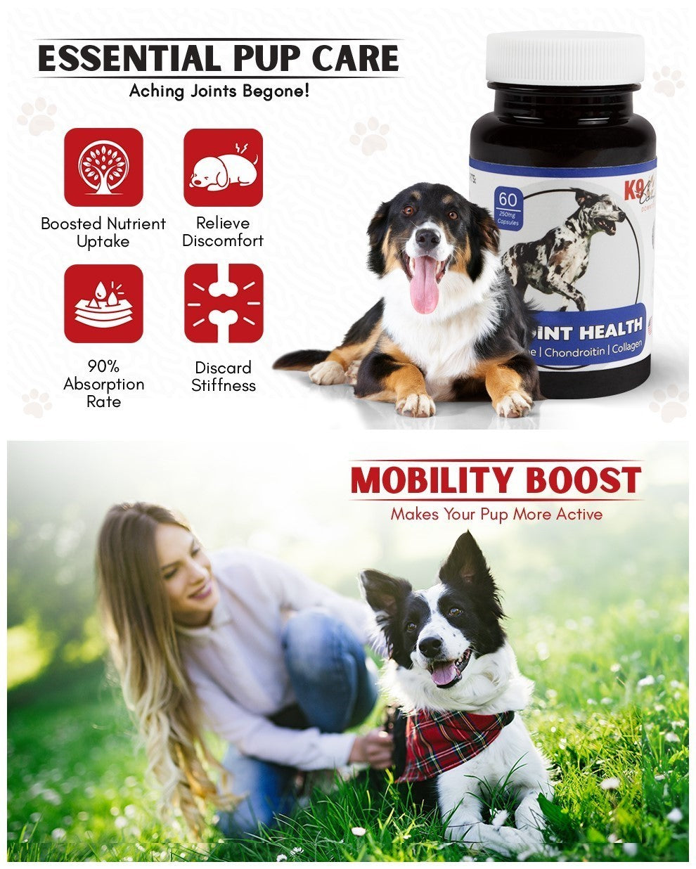Hip & Joint Health Supplement - Vets Say it's Beneficial At Any Age