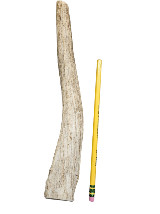 Medium Partial Split Antler Dog Chew