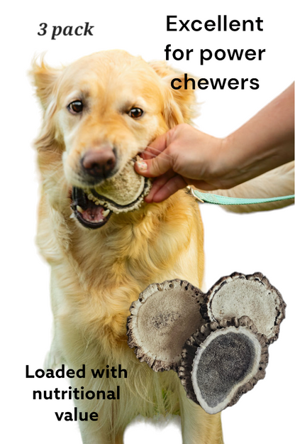 Elk Burrs for Powerful Chewers