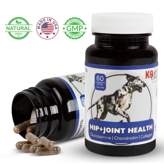 Hip & Joint Health Supplement - Vets Say it's Beneficial At Any Age