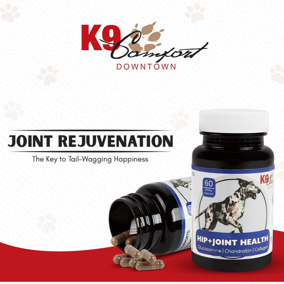 Hip & Joint Health Supplement - K9 Comfort Downtown 