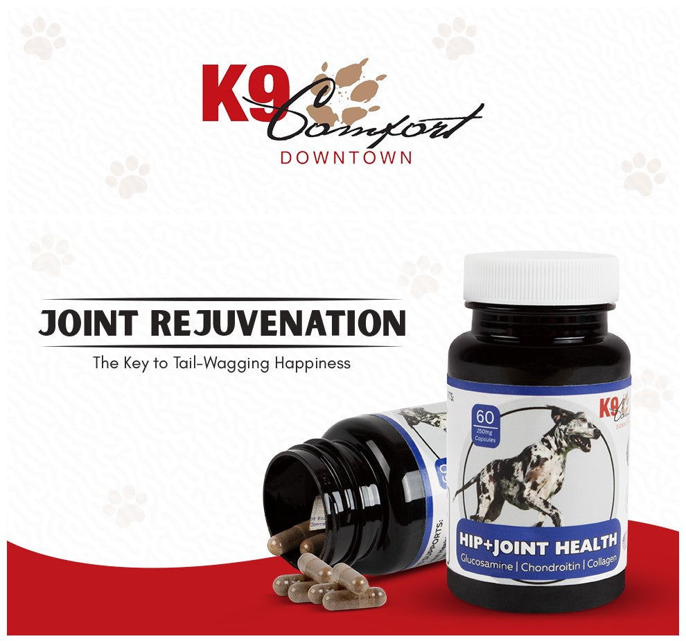 Hip & Joint Health Supplement - Vets Say Dogs Can Benefit At Any Age