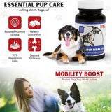 Hip & Joint Health Supplement - K9 Comfort Downtown 