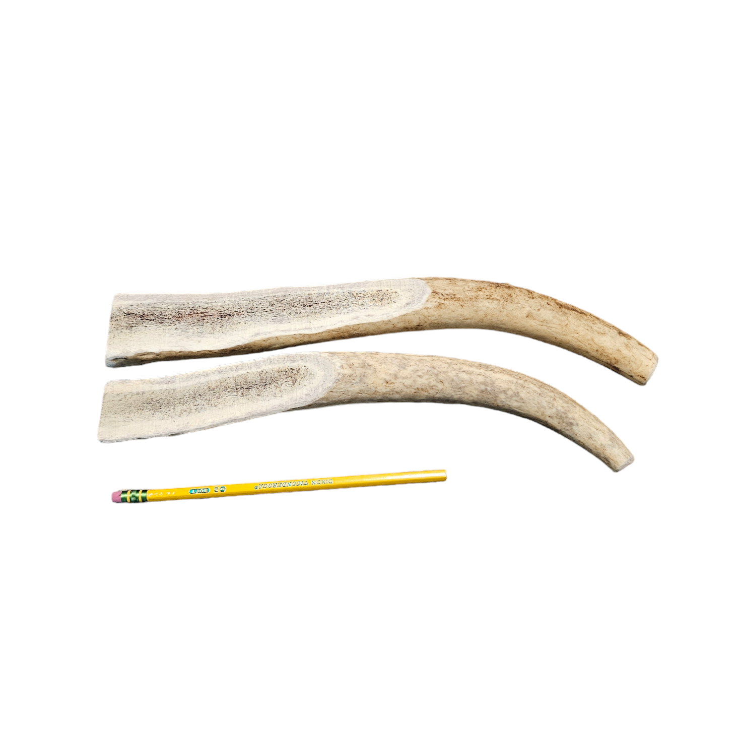 XL Partial Split Antler Dog Chew