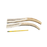 XL Partial Split Antler Dog Chew