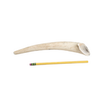 Medium Whole Antler Dog Chew