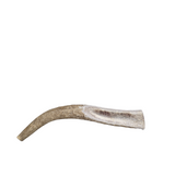 Large Partial Split Antler Dog Chew - K9 Comfort Downtown 