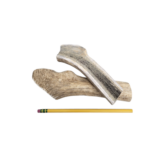 Medium Split Antler Dog Chew